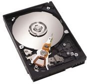 Seagate Barracuda 7200.11 SATA 1TB