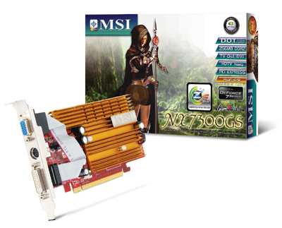 MSI NX7300GS-TD256EH graphics card GDDR2 – image 1