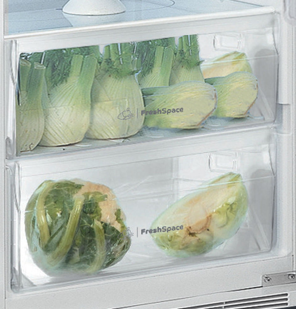 Indesit INS 18011 – image 4