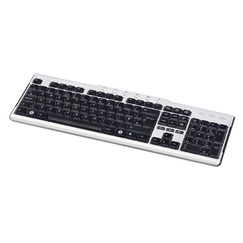 Lindy 20833 keyboard Universal USB QWERTY Black, Silver