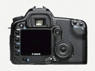Canon EOS 40D + EF 100mm f/2.8 Macro USM + MR-14EX Macro Ring Lite – image 8