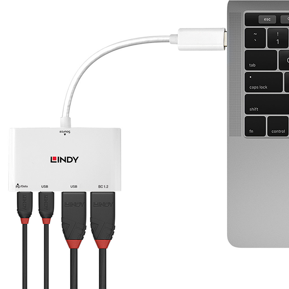 Lindy 4 Port USB 3.1 Gen 2 Type C Hub – image 2