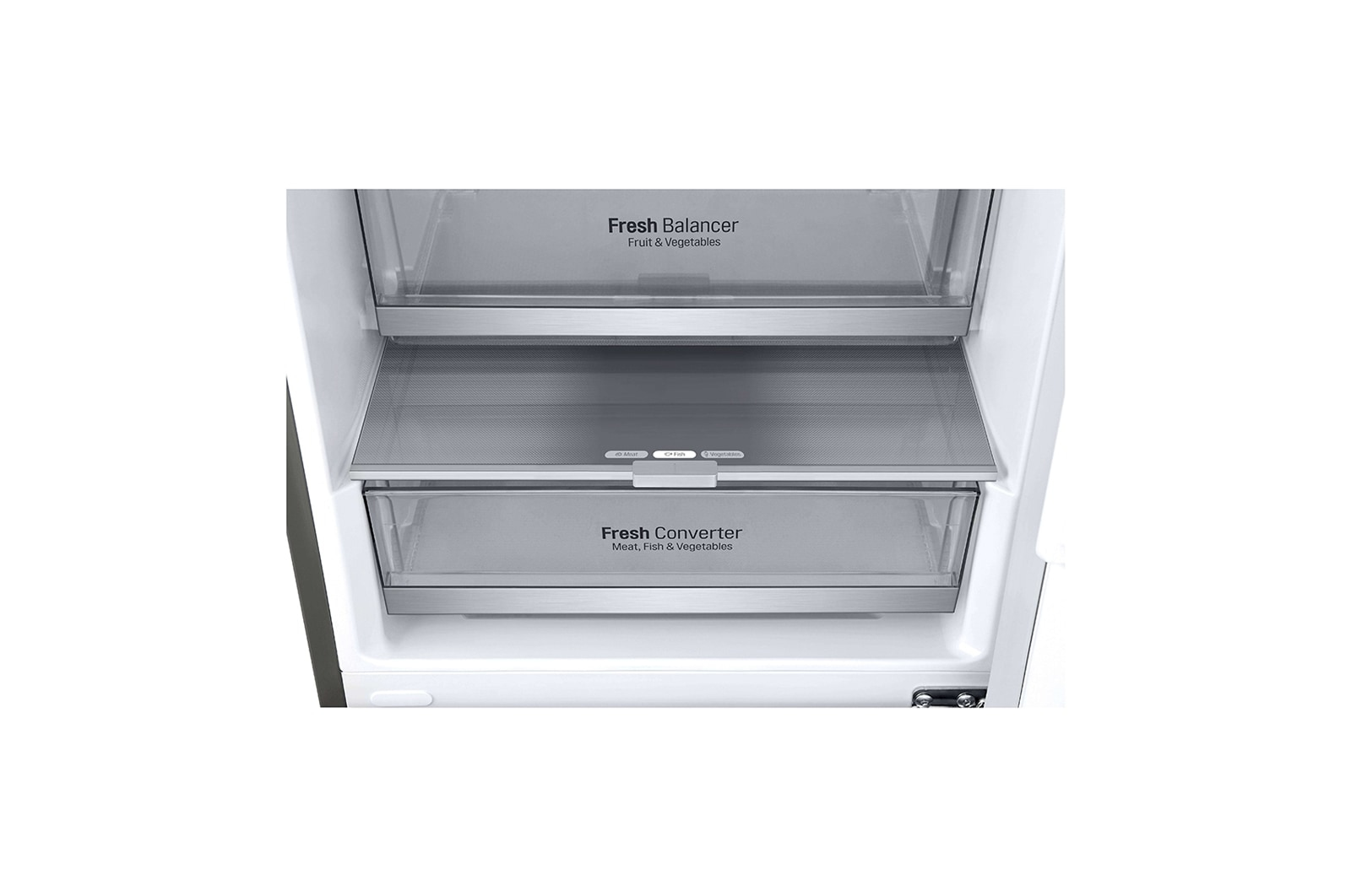 LG GBB71PZUFN fridge-freezer Freestanding – image 8