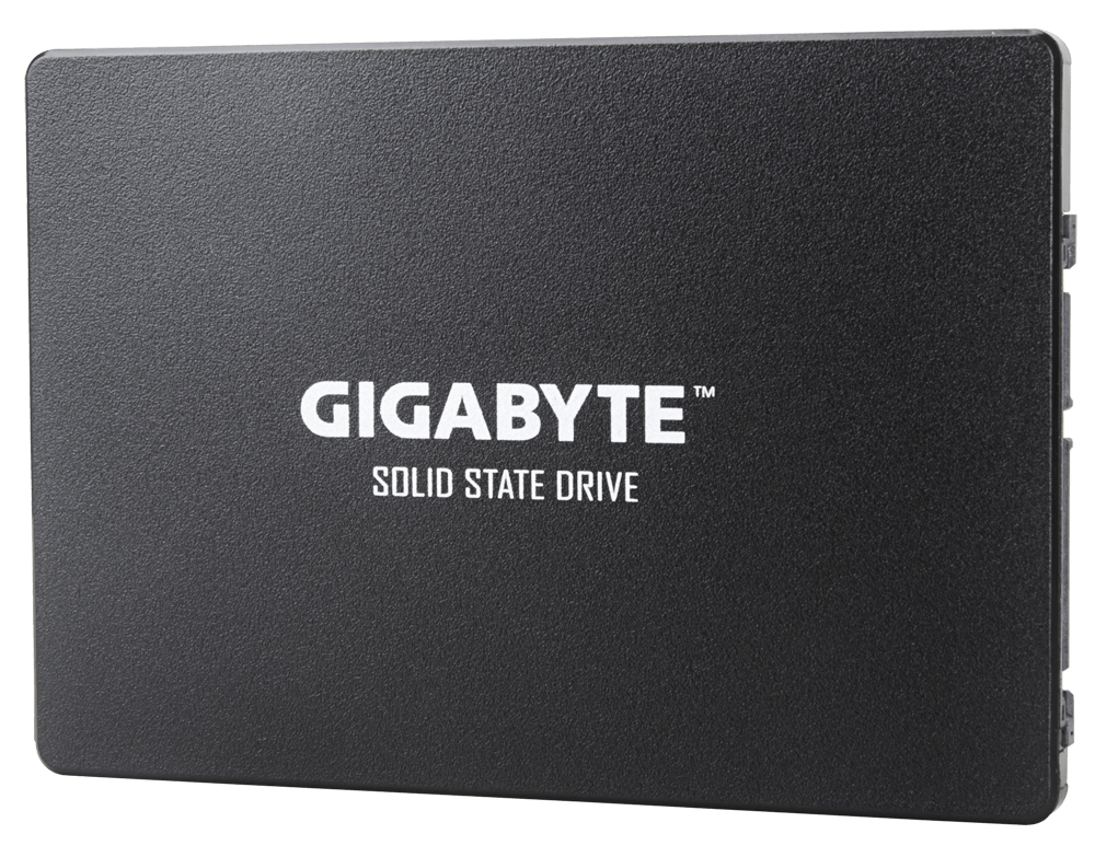 GIGABYTE GP-GSTFS31120GNTD internal solid state drive
