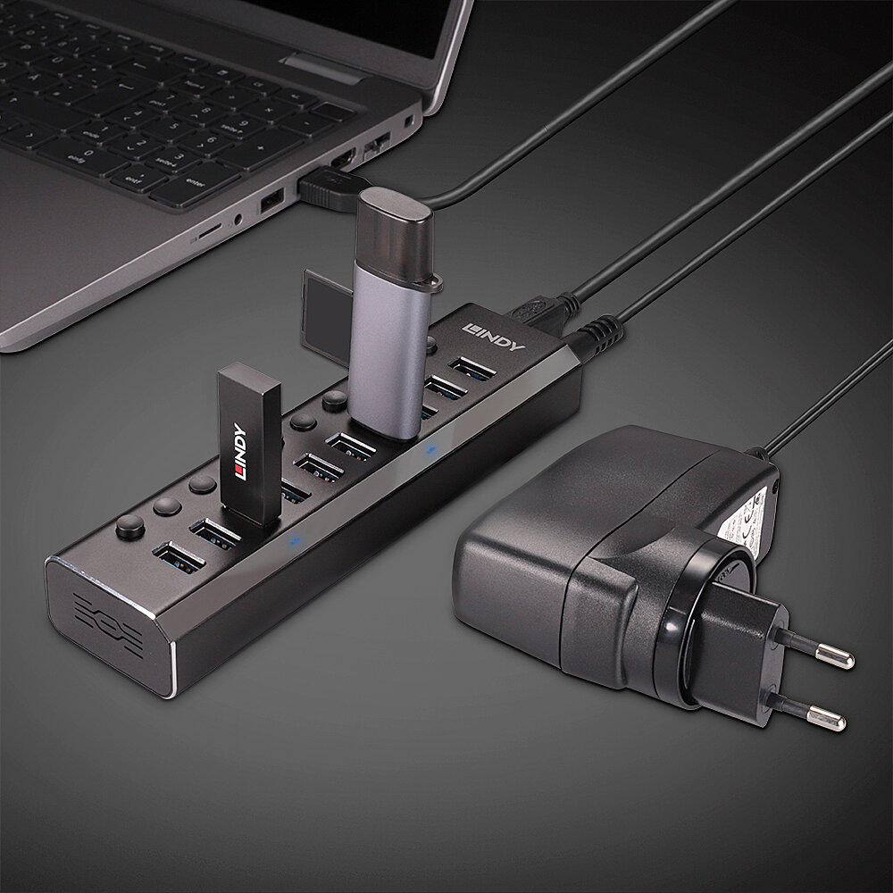 Lindy 10 Port USB 3.0 Hub with On/Off Switches – image 5
