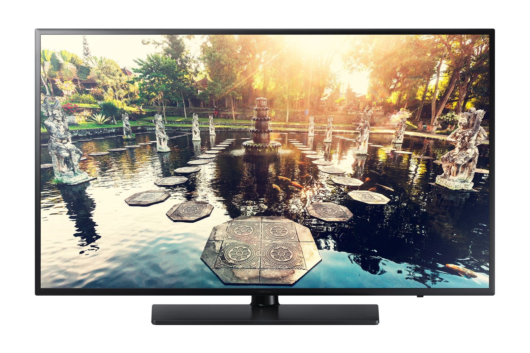 Samsung HG49EE694DK 124.5 cm (49") Full HD Titanium 20 W