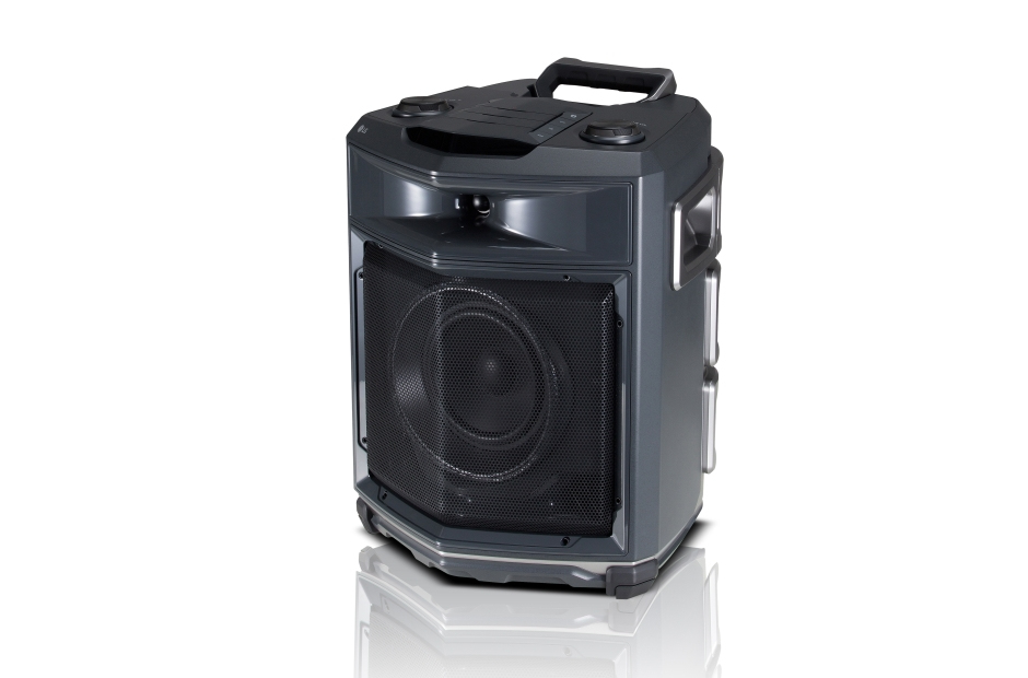 LG FJ3 2-way – image 2