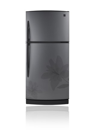Daewoo DFR-1620DIT fridge-freezer Freestanding – image 1