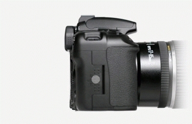 Canon 40D + EF 100mm – image 5