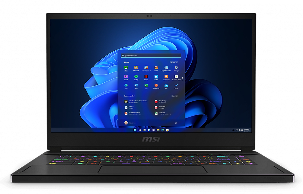 MSI GS66 Stealth 10UE-604