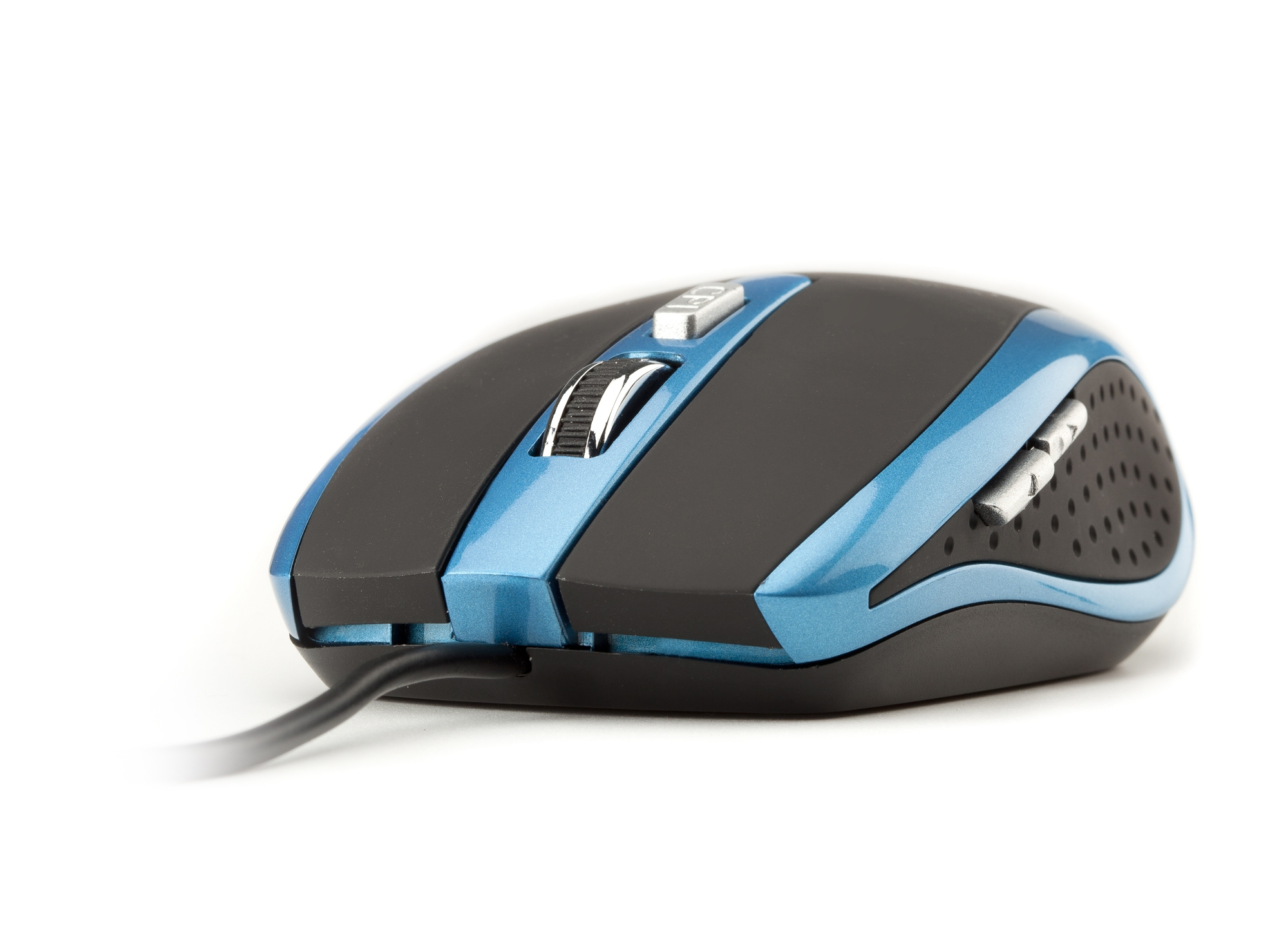 NGS Blue tick – image 5