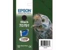 Epson Black Ink Cartridge T0791