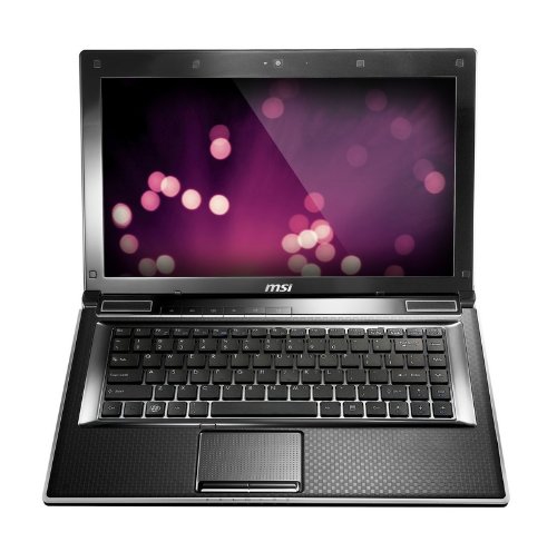 MSI F Series FX420-001US laptop Intel® Core™ i5 i5-2410M