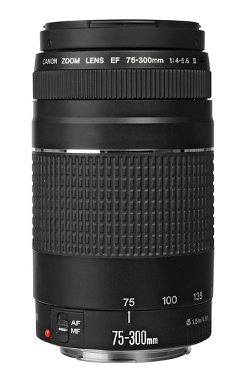 Canon Rebel T6i EF-S EF 75-300mm f/4.0-5.6 III – image 5