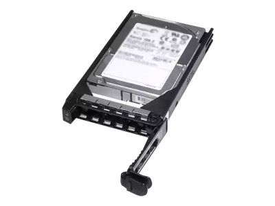 Dell 1.6TB SAS