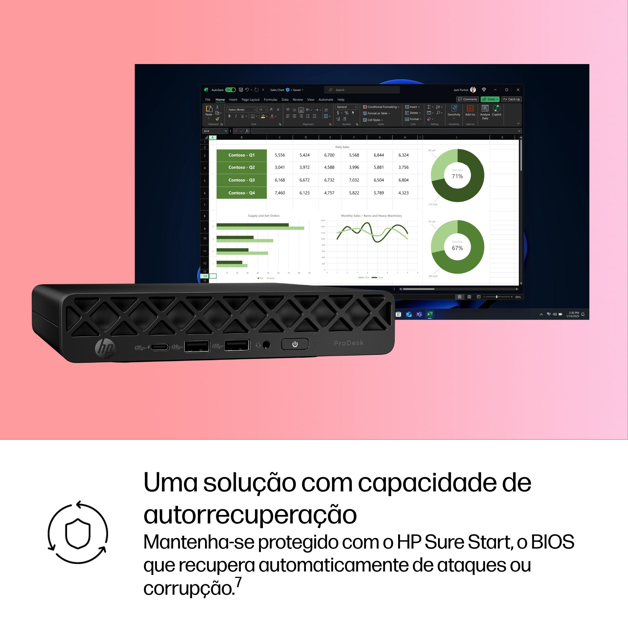 Miniatura 10
