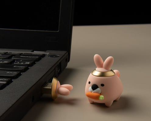 Kingston Technology 2023 CNY Drive - The Year of Rabbit – image 4
