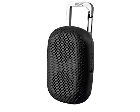 PEAQ PPA10BT-B portable/party speaker Black