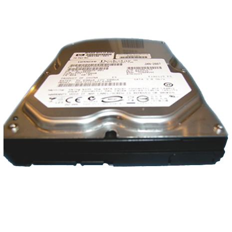 HP 300GB Serial Attached SCSI (SAS)