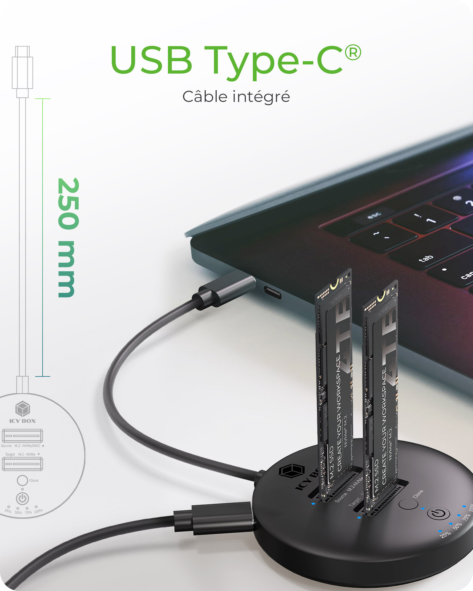 ICY BOX IB-1612MCL-C31 USB 3.2 Gen 2 (3.1 Gen 1) Type-C Noir