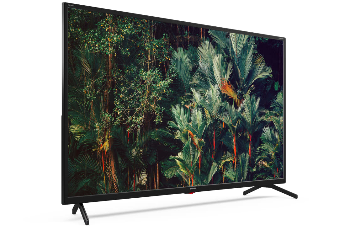 Sharp Aquos 43BN3EA TV – image 6