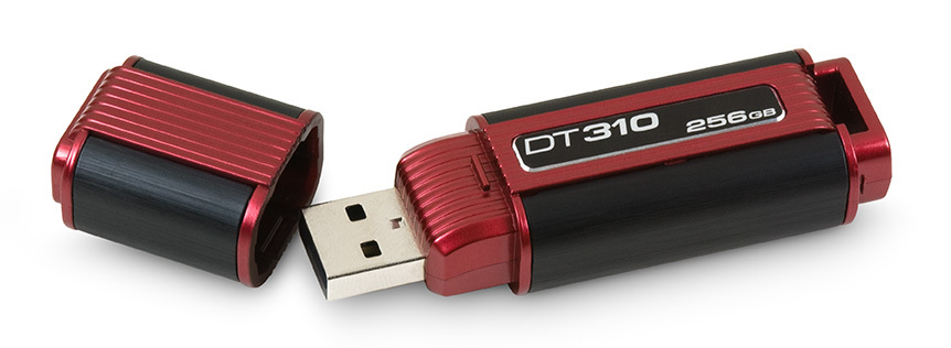 Kingston Technology 310 256GB – image 3