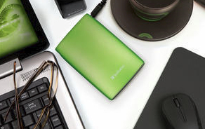 Verbatim Store 'n' Go USB 2.0 Portable Hard Drive 500GB Eucalyptus Green – image 5