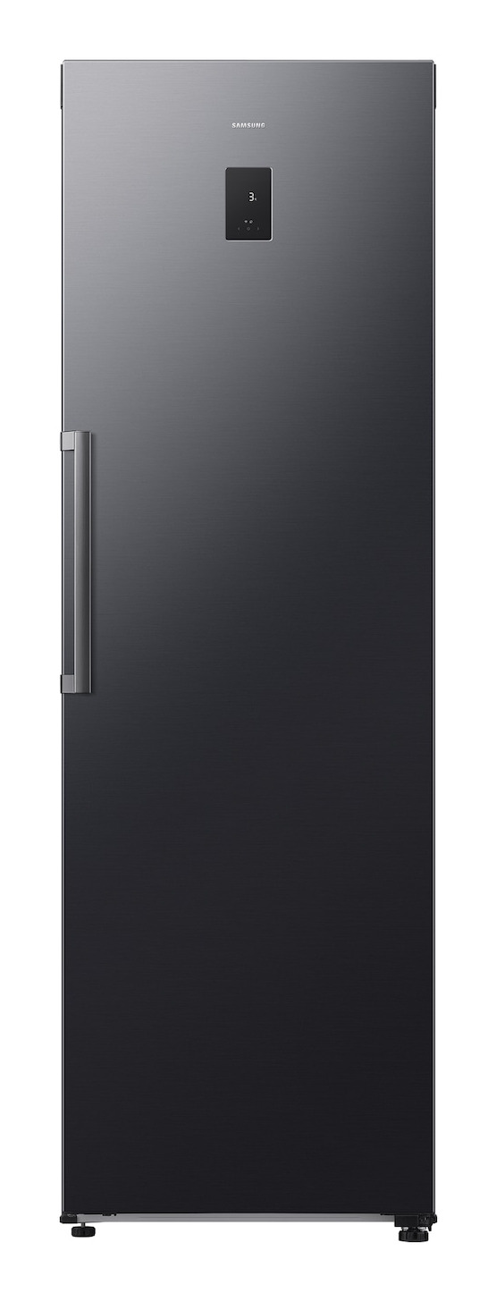 Samsung RR70H39CEFEO fridge Freestanding