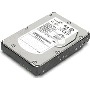 Lenovo ThinkServer 500GB