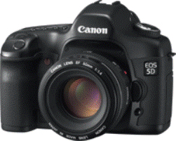 Canon 5D + EF 24-70mm Kit – image 1
