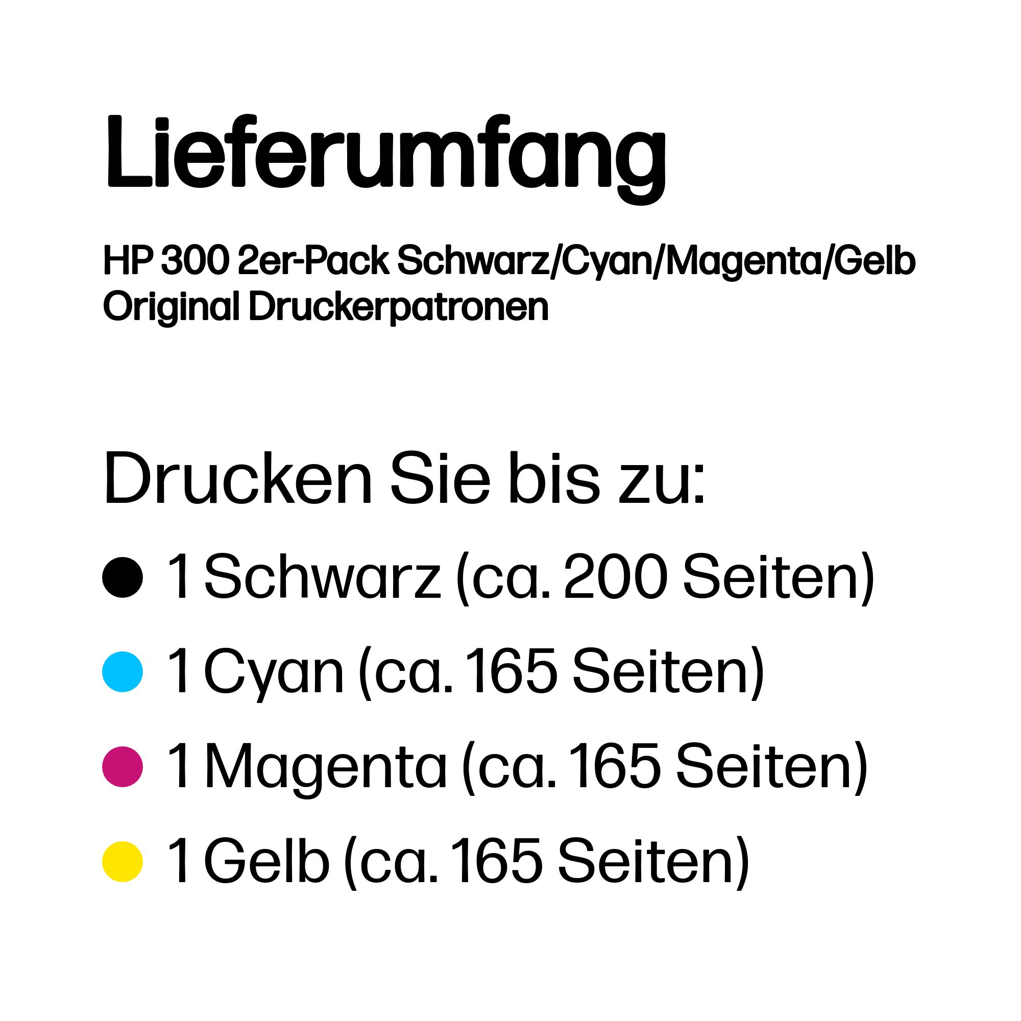 HP 300 2er-Pack Schwarz/Cyan/Magenta/Gelb Original Druckerpatronen
