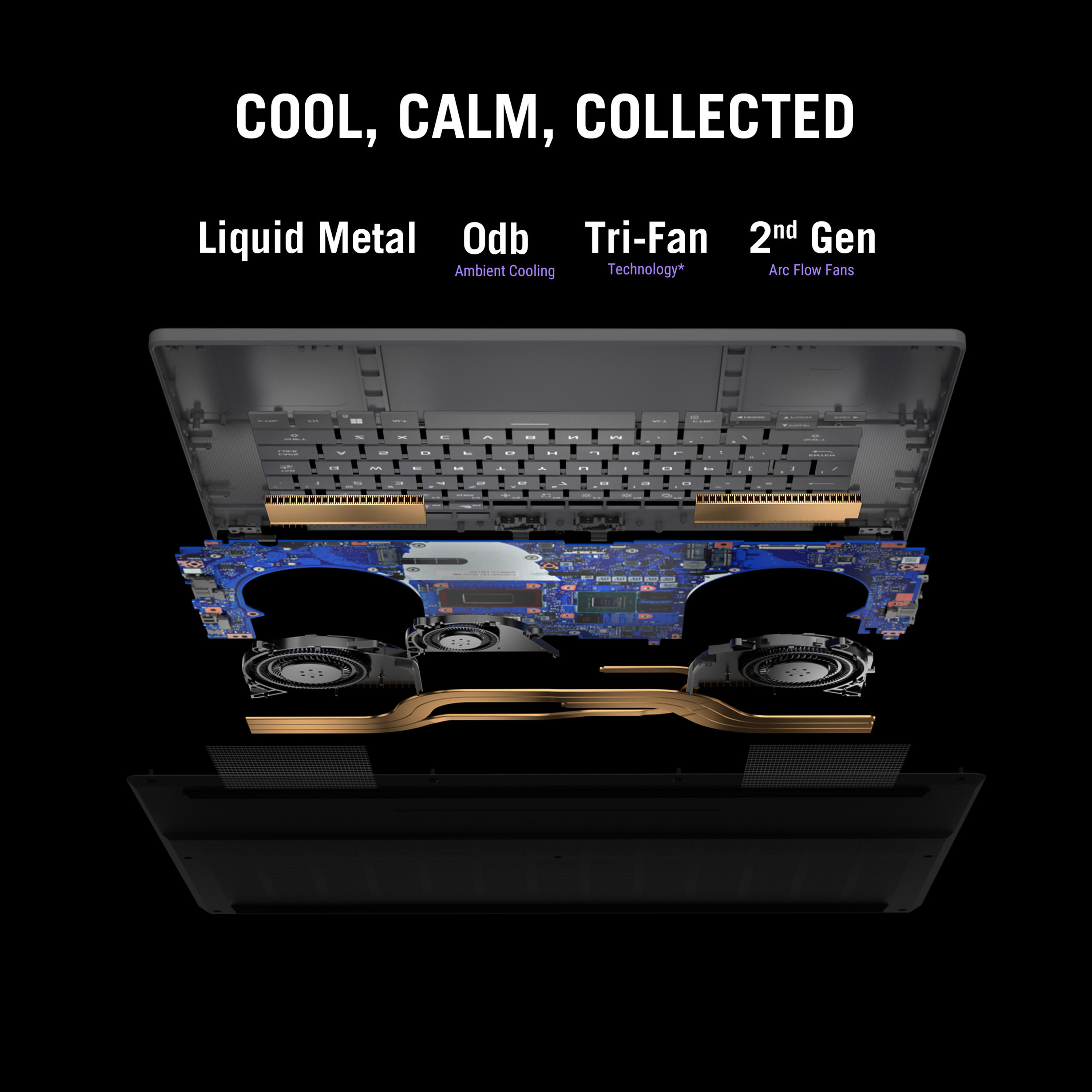 Product Gallery