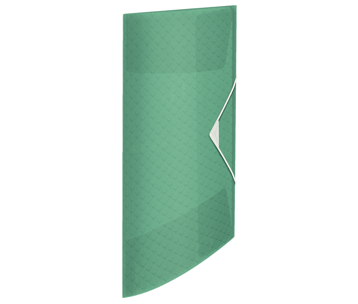Esselte Cartella Polipropileno (PP) Verde A4