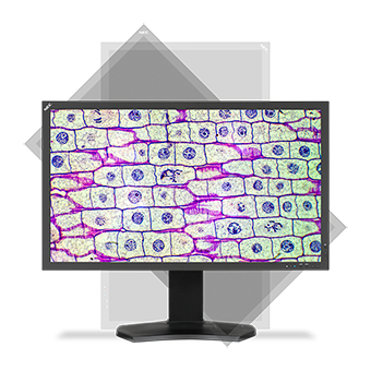 NEC MultiSync MD322C8 computer monitor – image 8