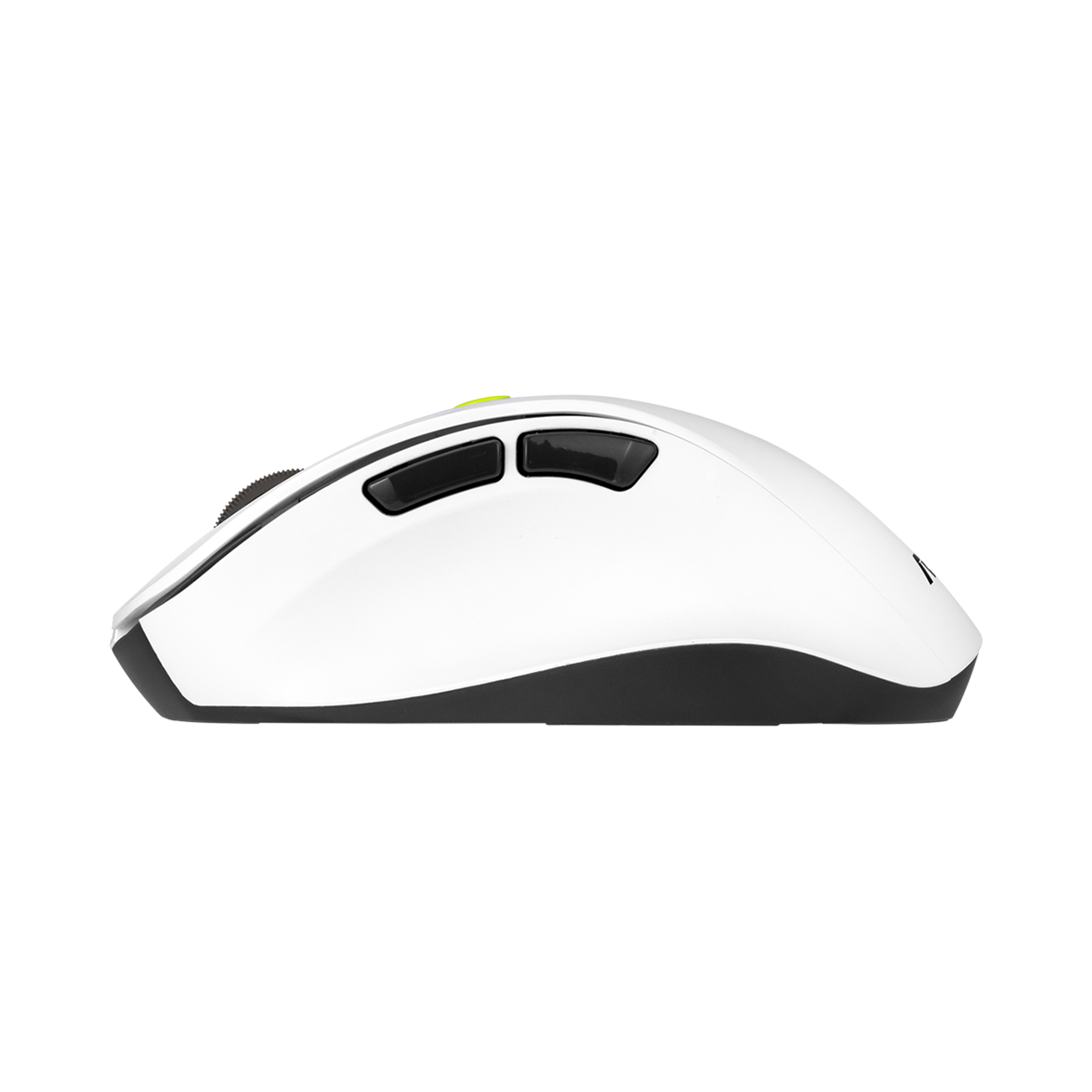 ASUS MD105             Maus wireless 2400dpi Volt Green