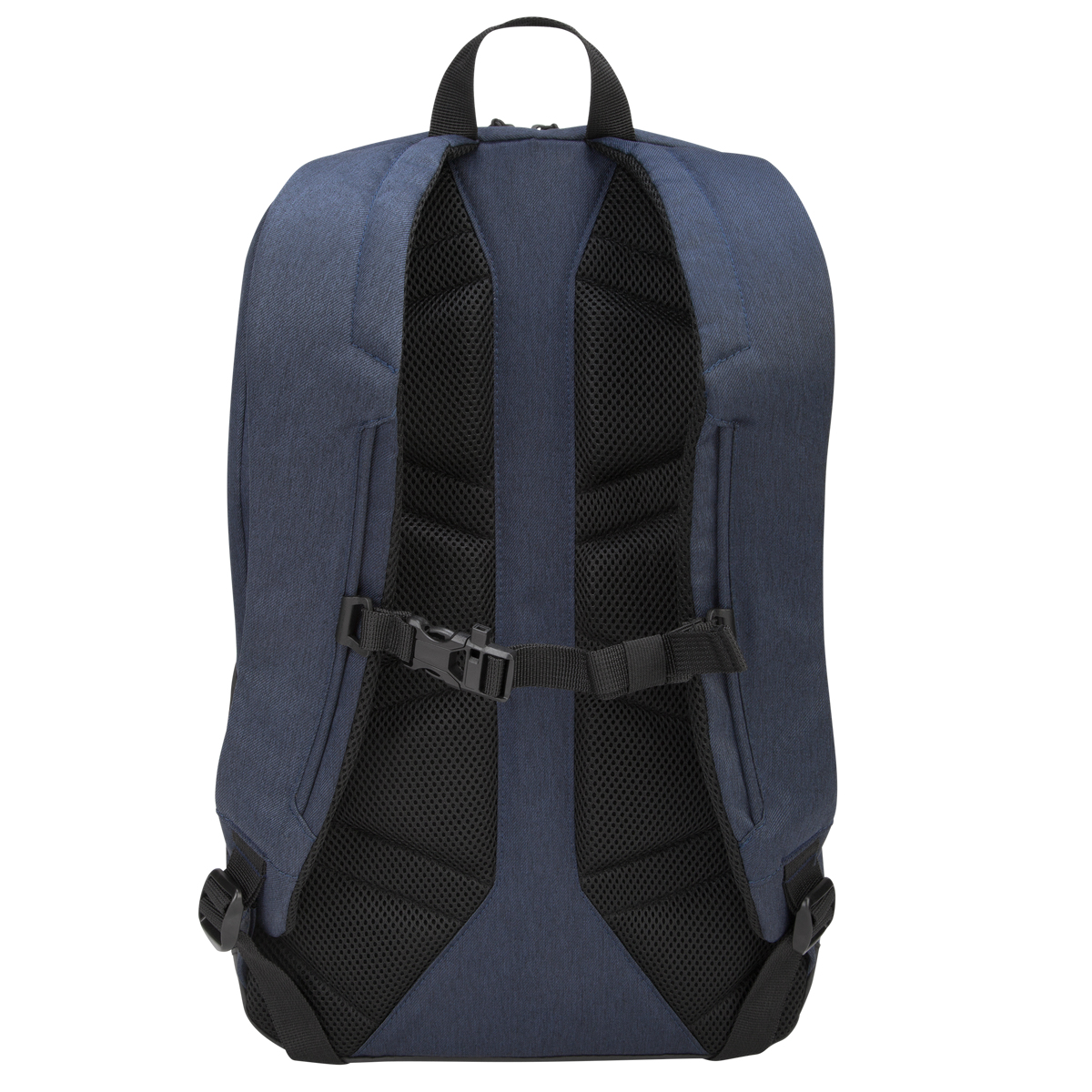 Targus Urban 40.6 cm (16") Backpack case Black, Blue – image 4