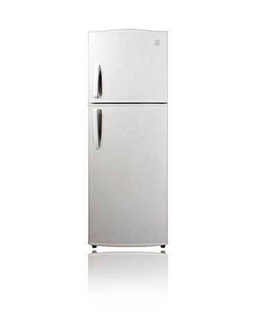 Daewoo DFR-9030DBB fridge-freezer Freestanding