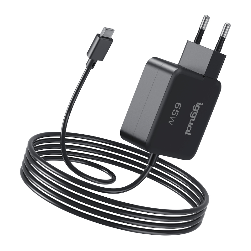 iggual PD 65W