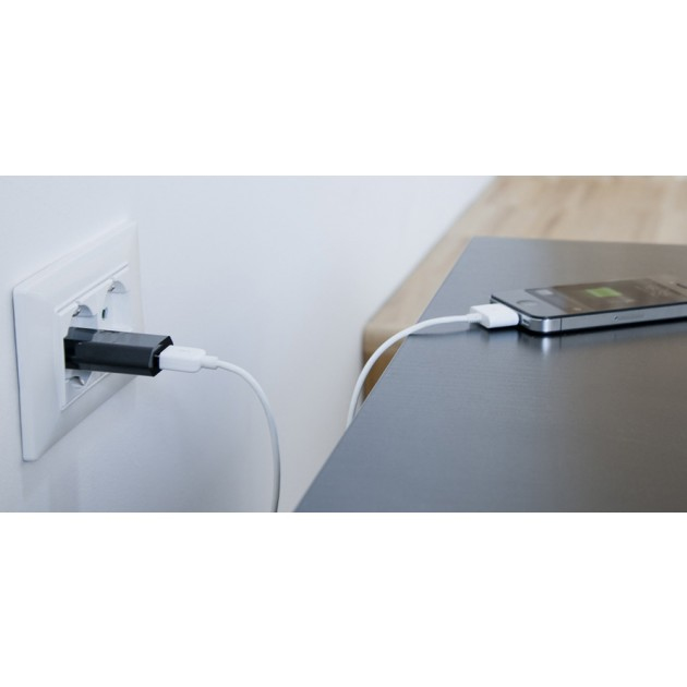 Techly Transformer from Italian Network to USB Black 1Ah IPW-USB-ECBK – image 4