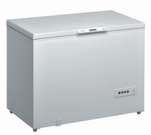 Ignis ICFS230 EG