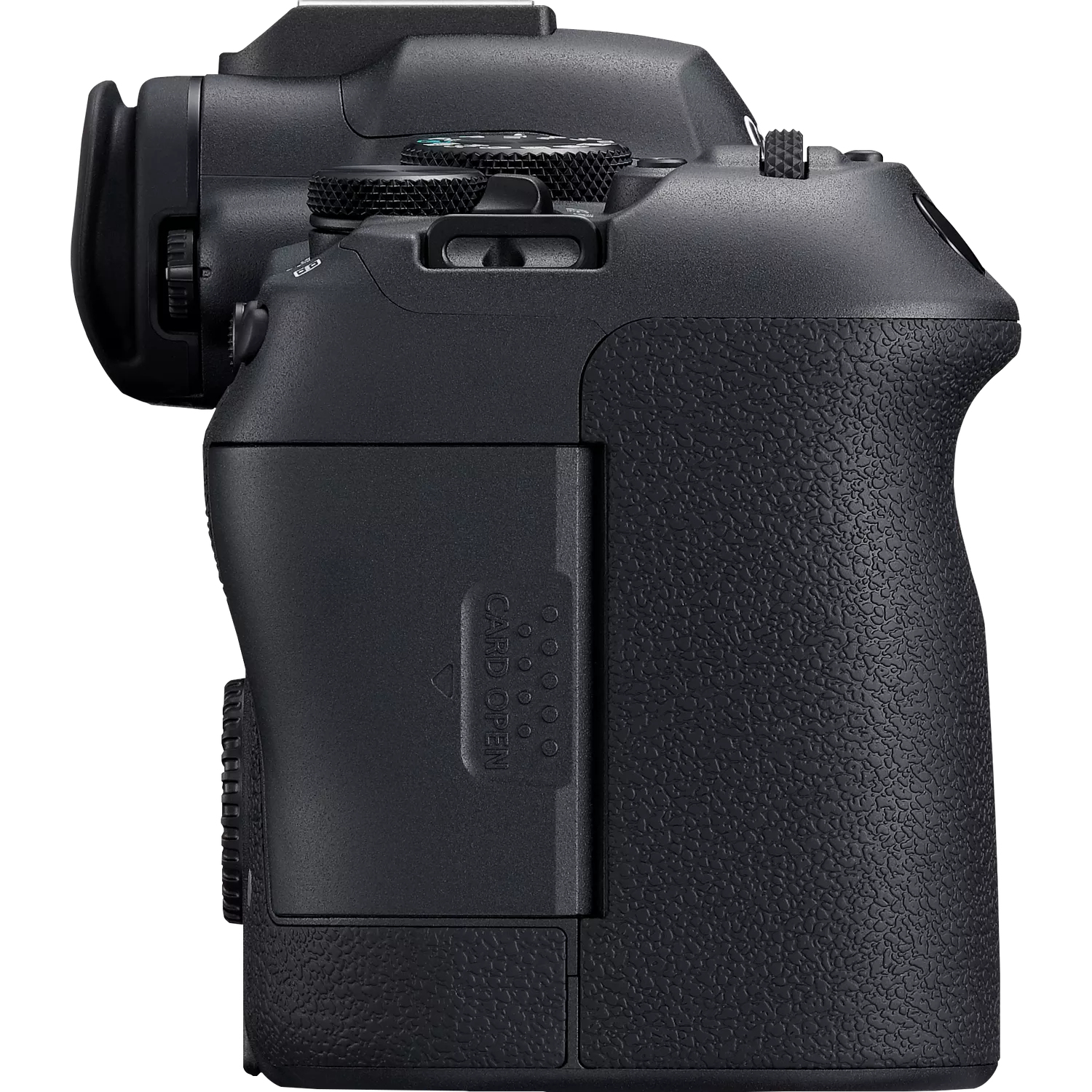 Canon EOS R6 Mark II + RF 24-105mm F4-7.1 IS STM – image 3