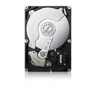 Samsung Spinpoint F3 HD256GJ internal hard drive – image 2