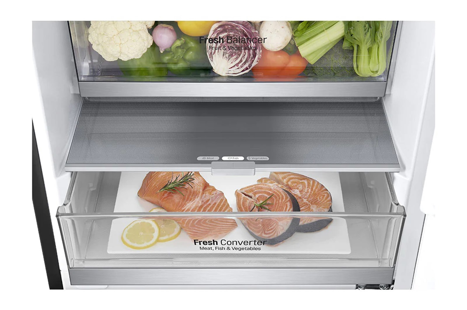 LG GBB92MCACP fridge-freezer Freestanding – image 6