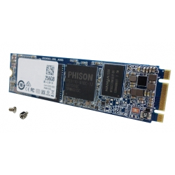 QNAP SSD-MSATA-256GB-A01 internal solid state drive