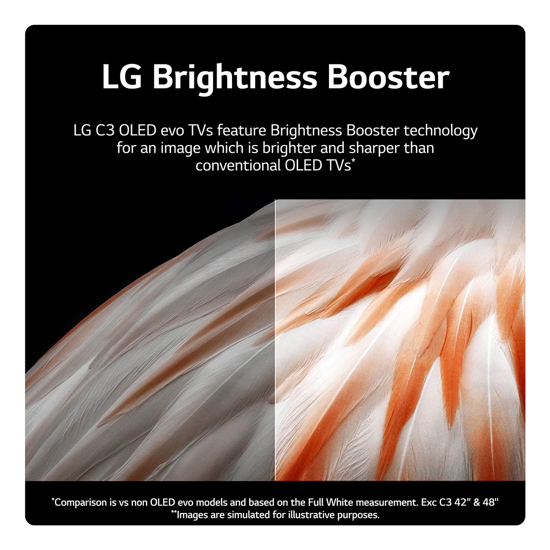 LG OLED evo OLED65C34LA.APD – image 6
