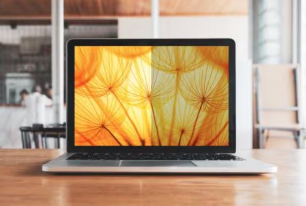 3M Bright Screen Blickschutzf. 14,5 Laptop (16:10) BP145W1B