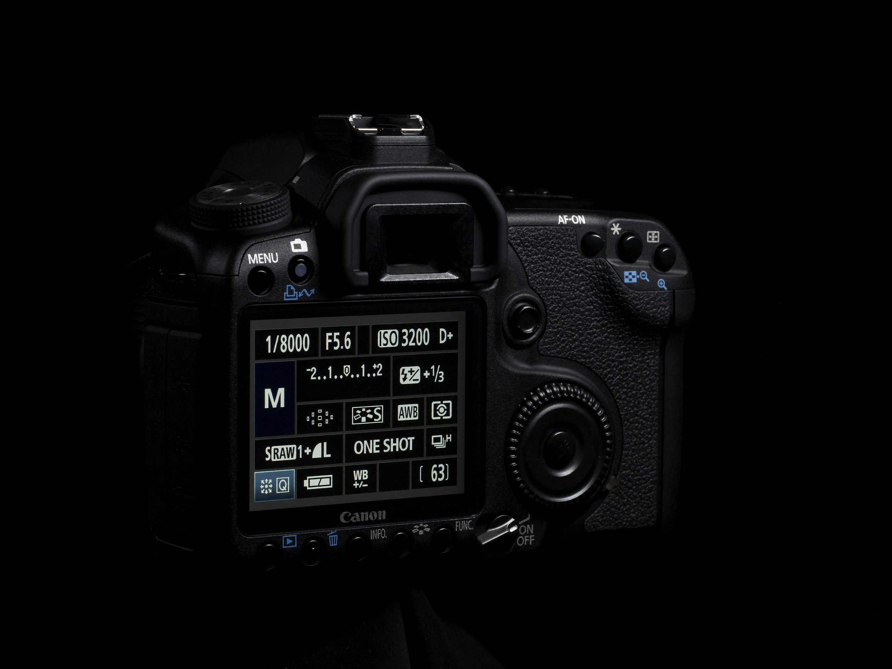 Canon 50D + EF-S 17-55mm – image 4