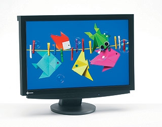 EIZO 24.1" FlexScan® Widescreen LCD