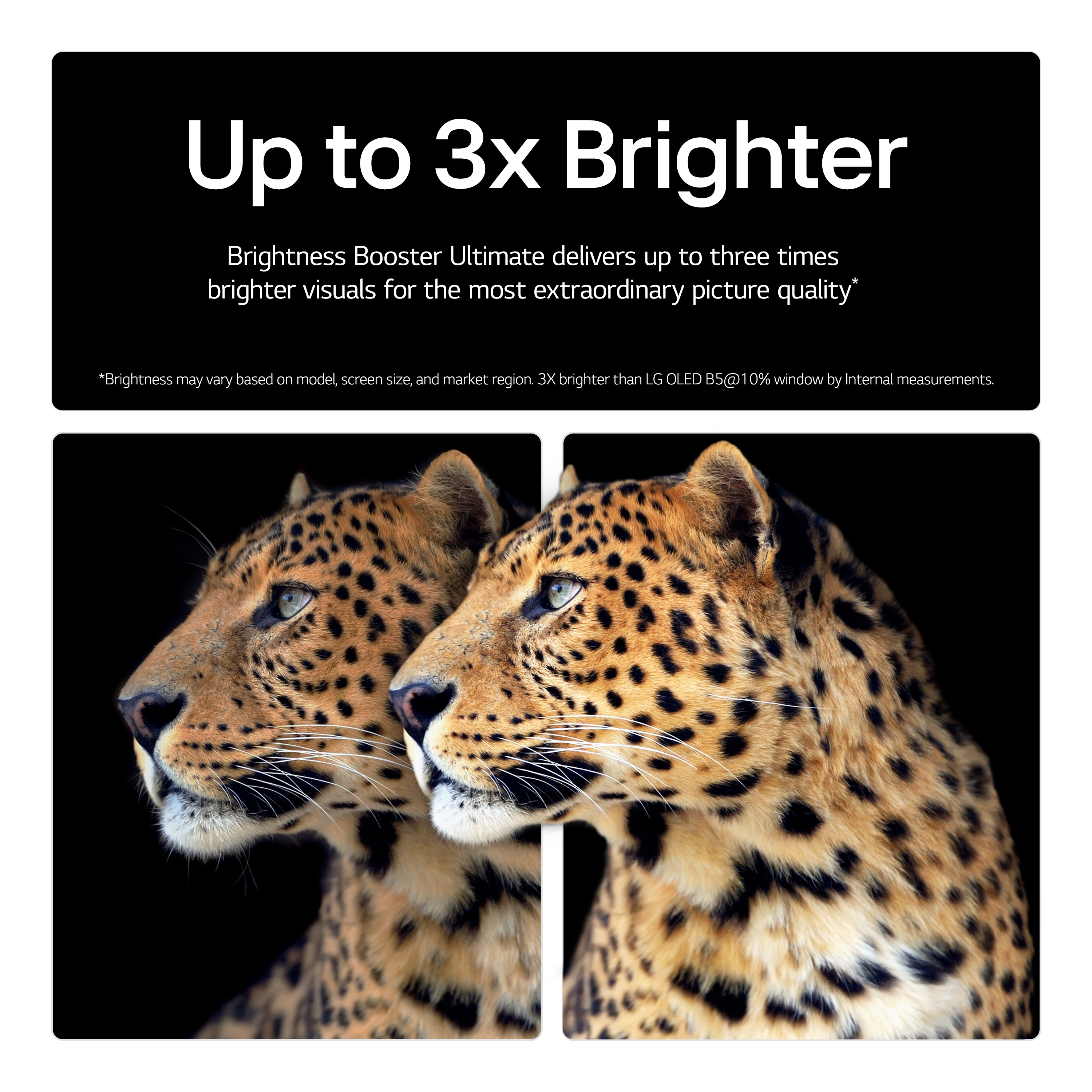 TV OLED LG OLED77M5 2025 (195cm) — photo 9