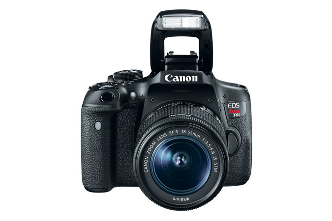 Canon Rebel T6i + EF-S 18-55mm f/3.5-5.6 IS STM – image 5
